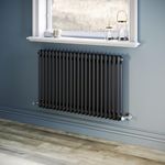 ELEGANT Radiator Traditional Column