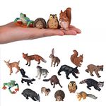 Flormoon Small Animal Figures for Kids, 16PCS Realistic Forest Animals Baby Figurines, Woodland Creatures Figurines, Educational Toys for Science Project Cake Party Decor