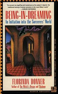 Being-in-Dreaming: An Initiation into the Sorcerers' World – A Woman's Spiritual Journey of Self-Discovery in Present-Day Mexico (Harper Odyssey S)