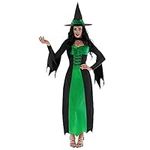 Morph Green Witch Costume for Women