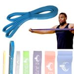 BULMARC Pull Up Assist Resistance Bands with 65+ Exercises for Workout; Muscle Tone; Weight Loss and Body Powerlifting; Teal Blue; Light (7-15) KGS(Material: Natural Rubber)