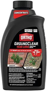 Ortho Grou