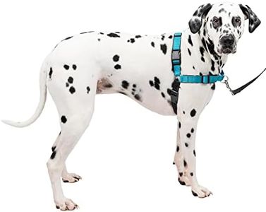 PetSafe Easy Walk Deluxe Arnés Antitirones para Perros, Adiestramiento de Perros, Evita Asfixia, Azul, Grande, L