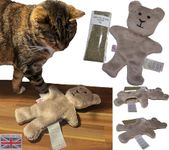 BRITISH UK MADE REFILLABLE CATNIP TEDDY BEAR CAT TOYS FOR INDOOR CATS HIGH POTENCY TOY NEW OUT! (Refillable Catnip Teddy Bear (includes 10 grams of organic catnip))