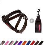 EzyDog Chest Plate Dog Harness - wi