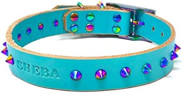 Handmade Spiked Personalized Bridle Leather Dog Collar, Rainbow Hardware, Embossed Name (Robin's Egg Blue)