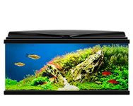 Ciano BLACK Aqua 80 LED Tropical Glass Aquarium - Includes Filter, Lights