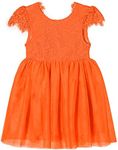 Niyage Toddler Girls Tulle Princess Party Dress Baby Elegant V-Back Lace Flower Girl Dresses, Knee-orange, 3-4 Years