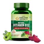 Himalayan Organics Plant Based Vitamin B12 Supplement | B1,B2,B3,B5,B6,B7,B9,Moringa| Boost Energy Level | Good For Digestion And Nerve Health | Glowing Skin For Men & Women - 60 Vegetarian Capsules