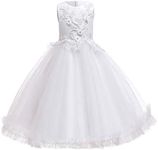 Big Girl Flower Lace Princess Tulle Long Dress for Kids Prom Formal Pageant Dance Gown, White-flower, 2-3 Years