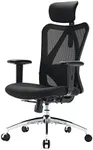 Sihoo Ergonomics Office Chair Computer Chair Desk Chair, Adjustable Headrests Chair Backrest and Armrest's Mesh Chair (Black)