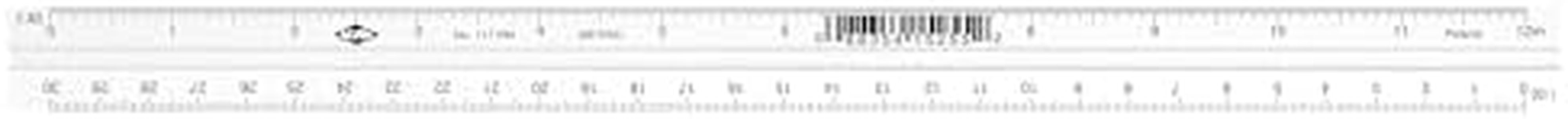 110 Series Triangular Scale