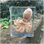 FHUILI Octopus Specimen - Octopus Embedded Specimen - Teaching Resources Octopus Resin Specimen Paperweight Taxidermy Marine Life Specimen for Science Educational,B
