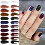 Vishine Fall-Winter Gel Nail Polish Kit 11 Colors Classic Series with Matt Top Coat, 8ml Each Manicure Gift Set