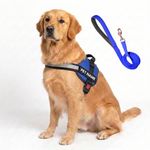 PAYTON PERRY Customized Dog Belt Vest Harness with Leash Combo | Print Pet Name | (S, Blue, for 5-13 Kilograms Dogs)