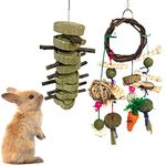 2PCS Rabbits Toy Bunny Chew Toys for Teeth, Natural Organic Apple Wood Sticks for Rabbits Chinchilla Guinea Pig Hamster, Small Animal Pet Ball Carrot Teeth Care Cleaning Toys, Pet Teeth Care Supplies