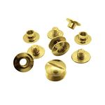 Gobrecht & Ulrich 25 x 2mm Book Binding Screws & Posts - Brass-coloured - Chicago Screws - 10mm head, 5mm hole diameter