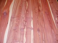 Woodchucks Wood 3/4 Inch x 2 Inch x 16 Inch Solid Red Aromatic Cedar Hardwood Lumber as Cutting Board Wood (10 Pack)