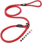 TwoEar Dog Leash Dog Slip Rope Leash 1/2" x 6FT Dog Training Leash Heavy Duty Strong Slip Lead Highly Reflective Threads for Small Medium and Large Dogs(Red)