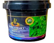 PUFF SMART Premium Herbal Flavor Mint 100G (Pack of 1) (100% Nicotine and Tobacco Free)