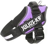 Julius-K9 IDC-Power Harness, Purple, Size: 1/63-85 cm/26-33.5"