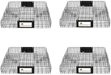 Rugged Ranch 4‑Pack Squirrelinator 