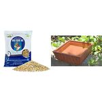 Nature Forever Bird Feeder Mix, 900 G & Earthen Pot (Teracotta Bird Bath) - 8 Inch X 8 Inch