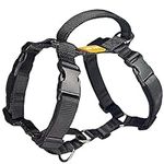DF No Pull Martingale Dog Harness, 