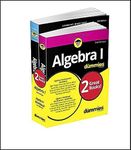 Algebra I For Dummies Book + Workbo