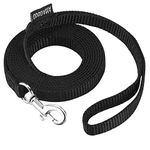 AMAGOOD 6 FT Cat Leash, Strong and Durable Traditional Style Leash with Easy to Use Collar Hook,Cat Lead Great for Cat(Black,3/8" x 6 Feet)