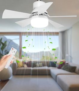 Alljia Ceiling Fan with Lights and Remote, 40W Small LED Ceiling Fans Lamp 2H/4H Timer, Dimmable, E27 Bulb Fixture, Upgrade Your Comfort with 3 Speed Fan Light - Perfect for Every Home, 0.55kg