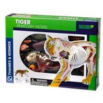 Thames & Kosmos Nature Discovery: Tiger Anatomy Model, Kids Science Kit, Learning Resources for Animal Anatomy, 3D Anatomy Kit, Age 8+