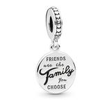 Lkwidi Friends Are Family Dangle Charm 925 Sterling Silver Pendant,Girl jewellery Beads Gifts for Women Bracelet Necklace A0041