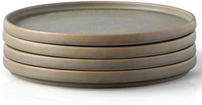 AmorArc Stoneware Dinner Plates Set of 4, 10.25 Inch Reactive Matte Glaze Ceramic Plates Set, Modern Dinnerware Dish set for Kitchen, Microwave, Dishwasher Safe, Scratch Resistant - Matte Army Green