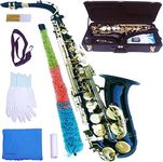 E Flat Alto Saxophone Full Kit Brass Sax for Music Beginners and Professional with Carving, Mouthpiece, Carrying Case, Gloves, Strap, Cleaning Cloth, Reed and brush, Lacquered (Black Gold)