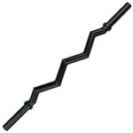 Body-Solid (OB48F) Olympic Steel Curl Barbell for Weightlifting Plates - Curling Bar Bicep and Tricep Curls - Exercise Weight Lifting Bar for Home & Commercial Gym, 48 in. Long, Black