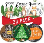 20 Monthly Baby Milestone Stickers - Woodland Baby Monthly Milestone Stickers, Milestone Baby Monthly Stickers, Baby Month Stickers for Baby Photo Props Newborn, Monthly Baby Stickers for Pictures