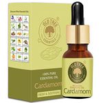 Old Tree Cardamom (Elaichi) Essential Oil (15ml) - For Skin, Hair Care, Fragrance, Soap Making, and Aromatherapy - Pure, Natural and Undiluted Perfume Oil with Glass Dropper