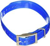 Garmin 1-Inch Dog Collar, Blue