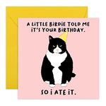 Central 23 - Humorous Birthday Card - Happy Birthday for Friends – Funny Design – Cat Greeting Card – Comes with Fun Stickers