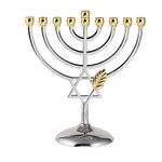 BRTAGG Hanukkah Menorah Silverplated Full Size Non Tarnish - Jewish 9 Branch Candlestick Candle Holders (7 inch)