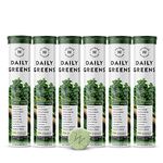 Wellbeing Nutrition Daily Greens | Wholefood Multivitamins with Vitamin C, Zinc, B6 for Immunity & Detox with Organic Certified Plant Superfoods & Antioxidants (15 Effervescent Tablets) Pack of 6