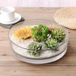 SHOBHANA ENTERPRISES Crystal Clear Glass Decorative Plate or Terrarium for Home Decor (Size : 10 inch)