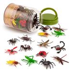 Terra by Battat - 60 Insect World in Tube - Assorted miniature, spider, scorpion, cockroach, caterpillar & more, figurines for kids 3 Years + (60 Pc)