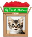 Hallmark Keepsake Christmas Ornamen