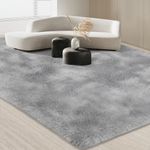 JOJOSEE Rugs Living Room, 200 x 300 cm Rugs for Bedroom, Grey Area Rugs Anti Slip Carpets, Ultra Soft Fluffy Shaggy Extra Large Rugs for Bedroom, Living Room, Nursery Bedside(Light Grey, 200x300cm)