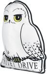 HARRY POTTER Hedwig Kissen