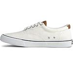 Sperry Men's Striper II CVO Sneaker, SW White, 10 UK