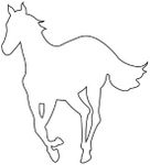 White Pony