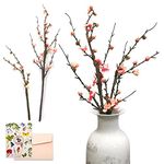 SNAIL GARDEN 2Pack Artificial Plum Blossom Flowers, Faux Long Stem Plum Blossom Bouquet with 13 Heads Full Bloom Plum & 23 Silk Flower Buds-Fake Plum Branches for Home Table Decoration ( 33.5", 21.2")